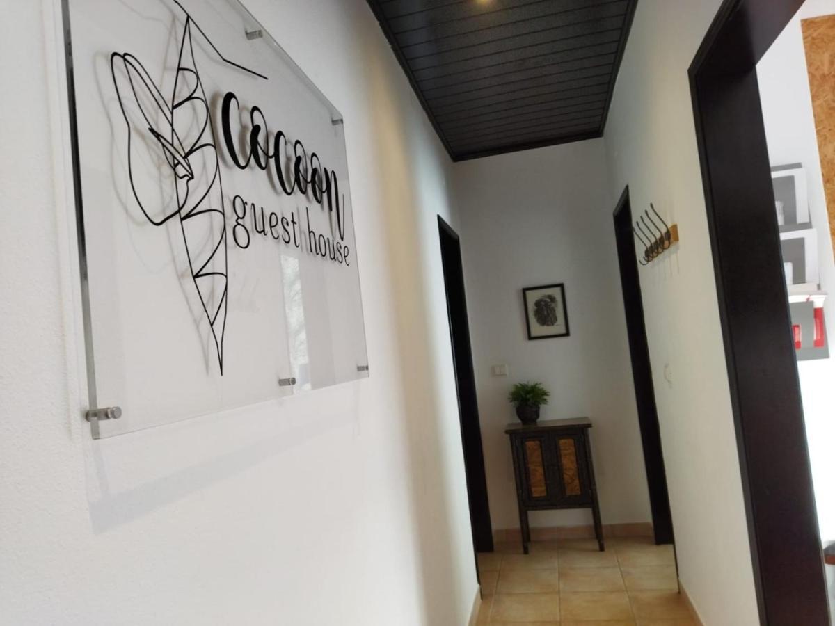 Casulo Guest House Vendas Novas Exterior photo